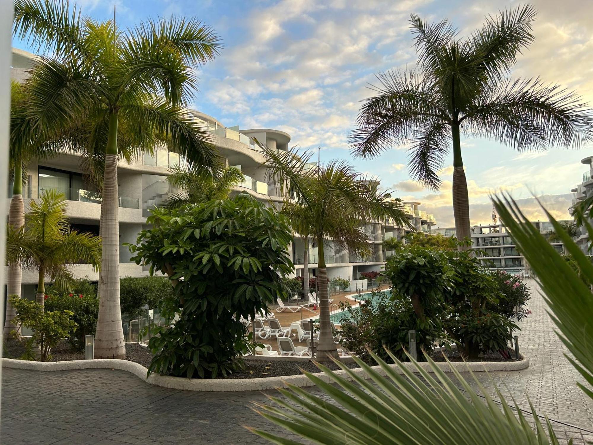 Ville Las Olas بالم مار المظهر الخارجي الصورة